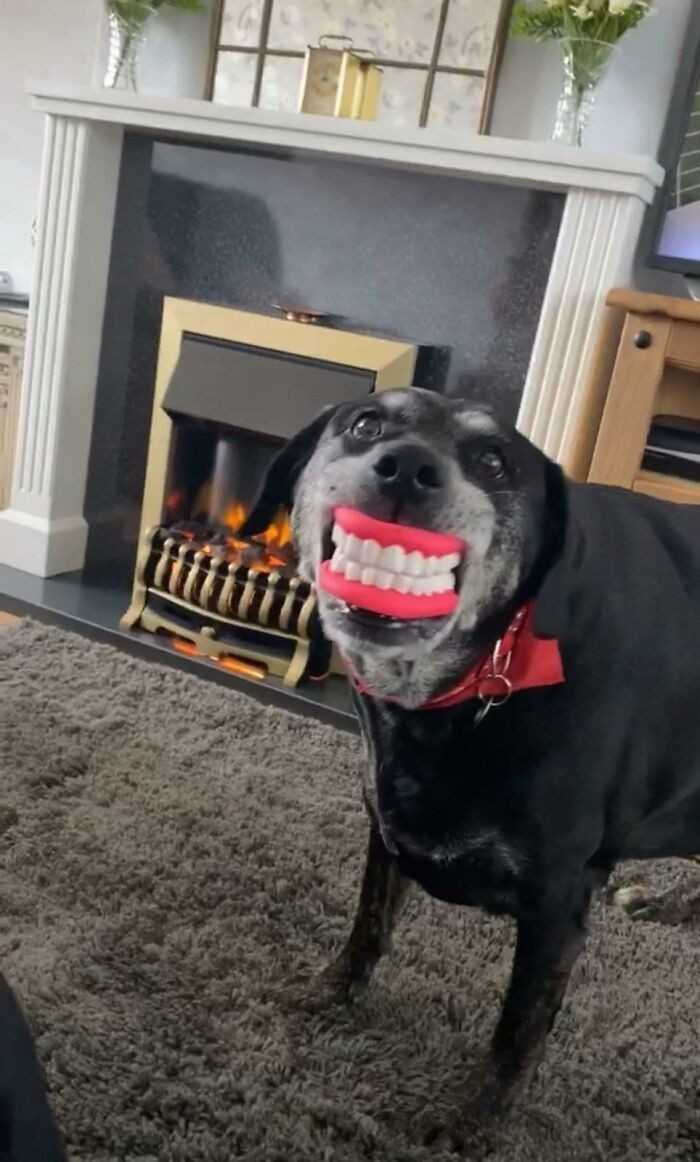 6.