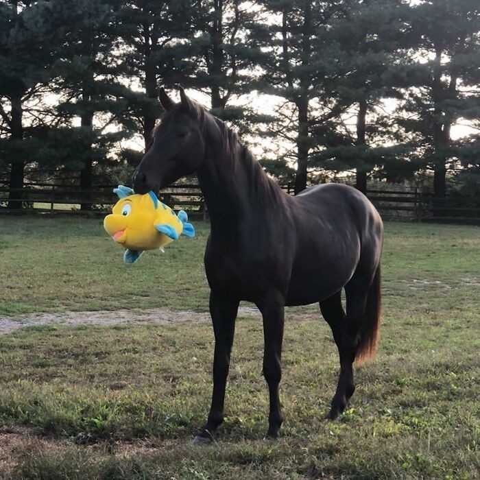 7.