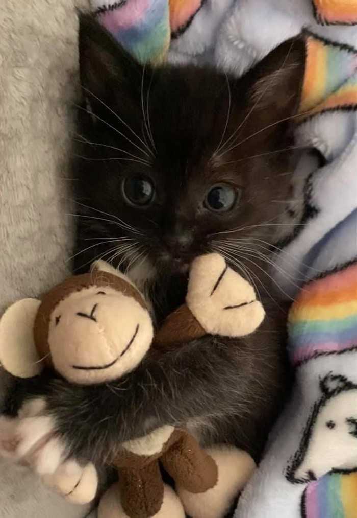9.