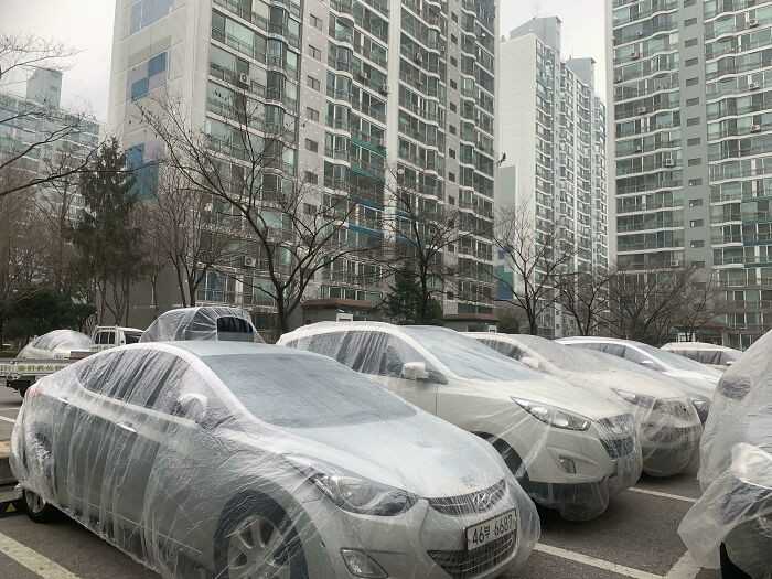 Podczas malowania bloku w Korei, robotnicy osłоnili wszystkie auta stojąсe na parkingu.
