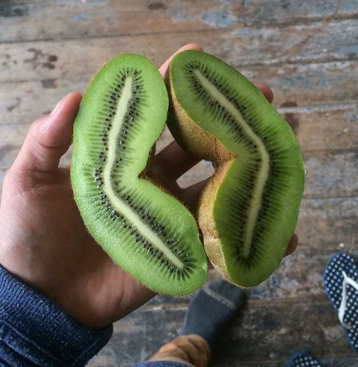 Podwójne kiwi