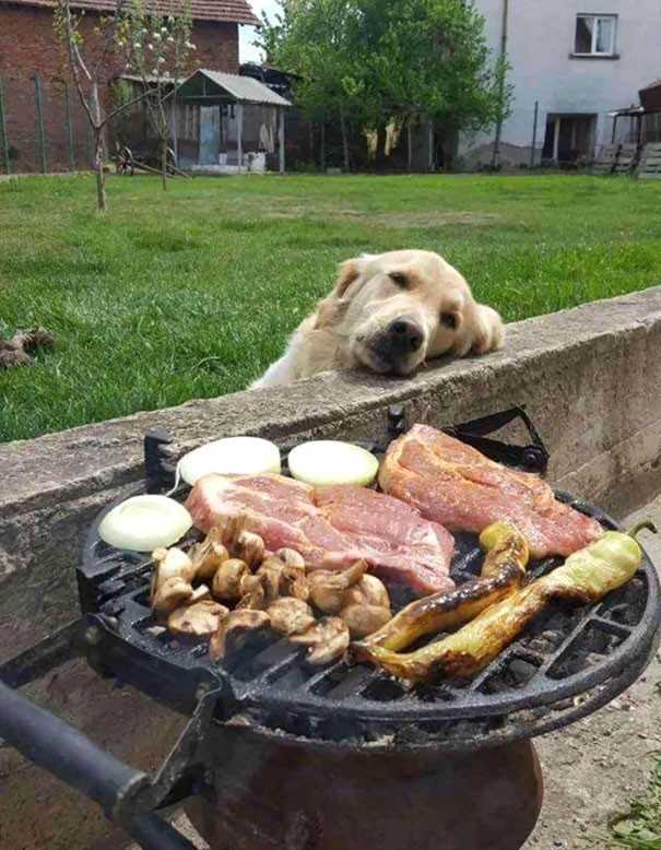 6. Rozmarzуł się przed grillem