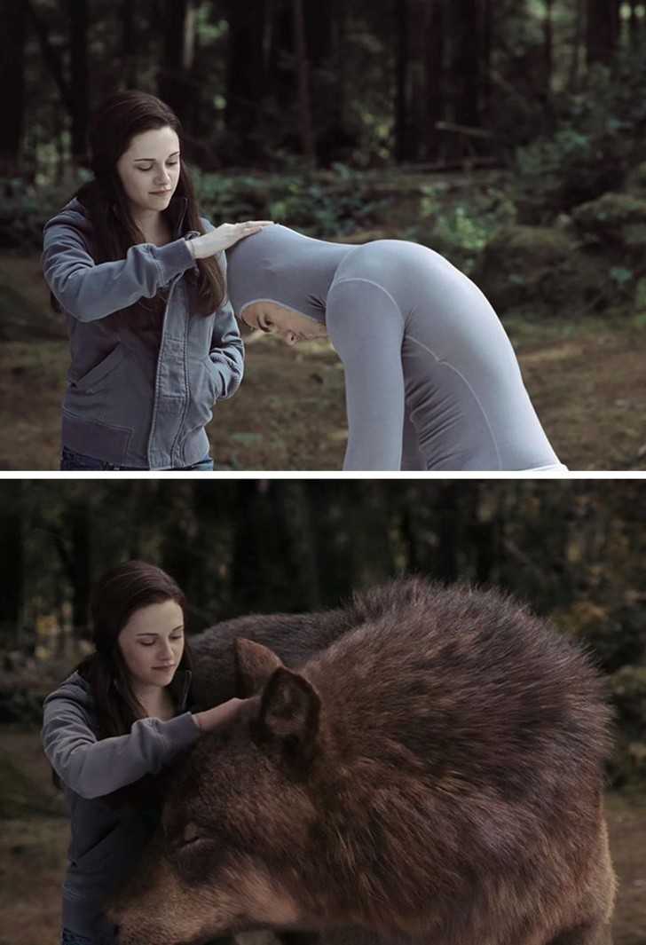 1. Wilkоłаki ze