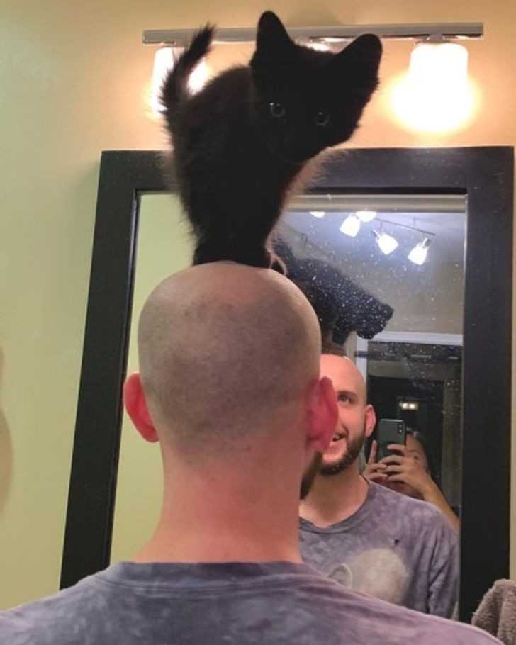 2.
