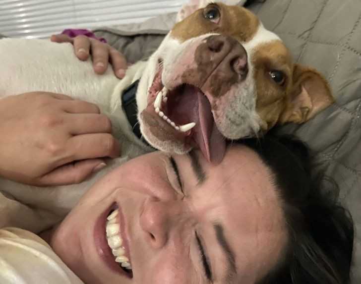 5.