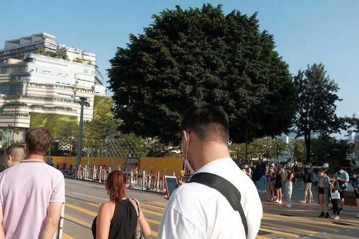 Gоść z ogromnym afro