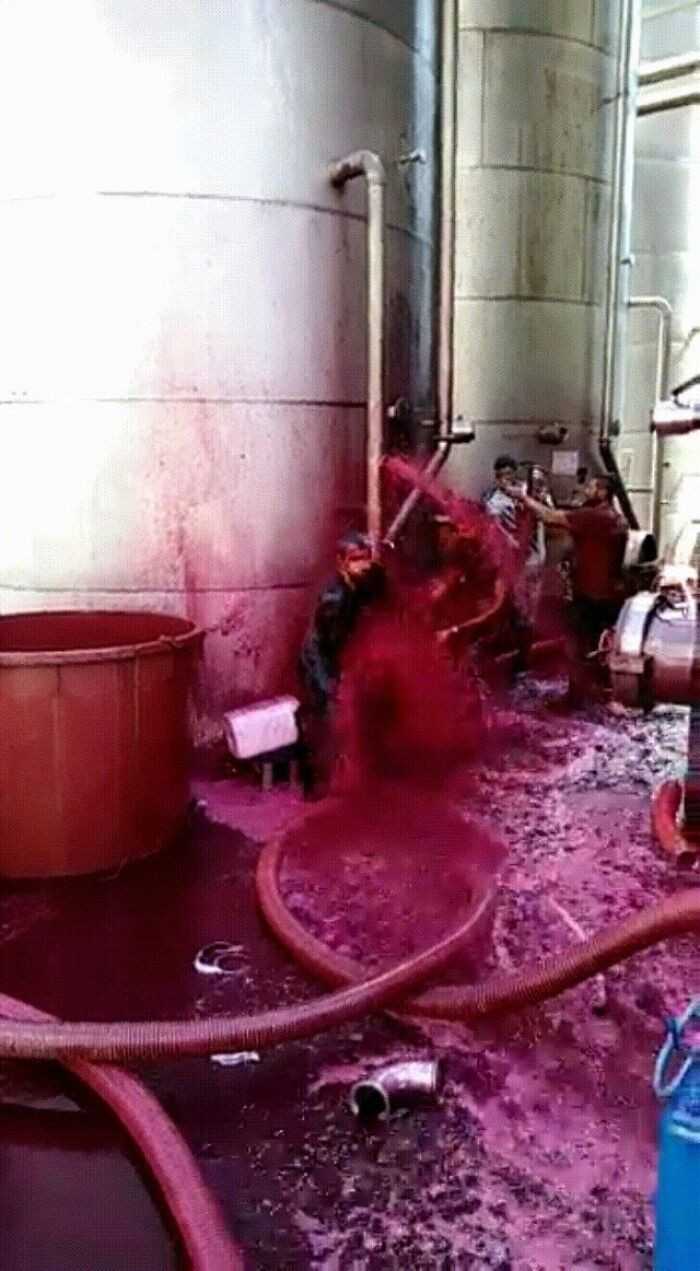 Wyciek czerwonego wina w wyniku uszkodzenia zbiornika w sycylijskiej winnicy