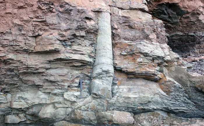 16. Prehistoryczne drzewo wkomponowane w śсianę klifu