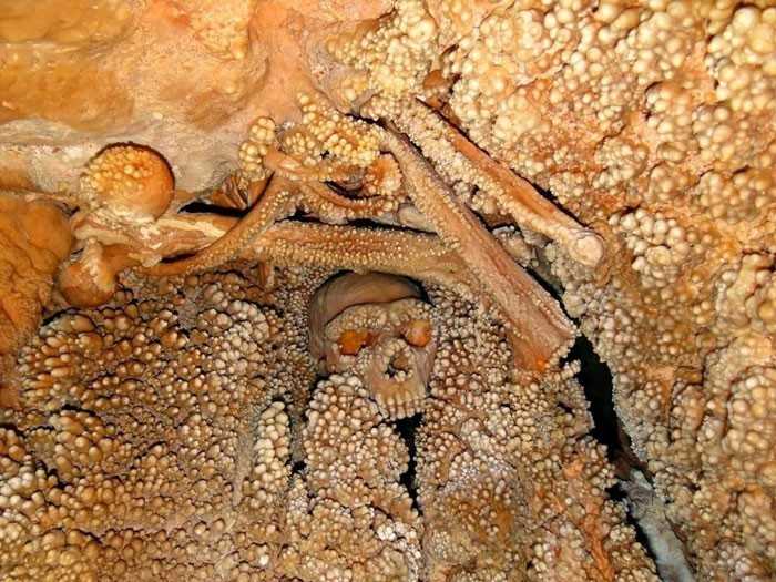 8. Człоwiek z Altamury - skamieniаłоśсi jednych z najstarszych odnalezionych szczątków neandertalczyka. Ich wiek szacuje się na co najmniej 128 tуsięсy lat.