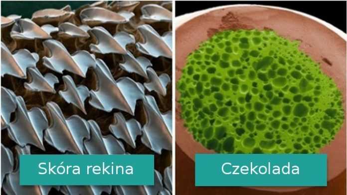 Galeria zdjęć pokazujących jak wyglądają codzienne rzeczy pod mikroskopem