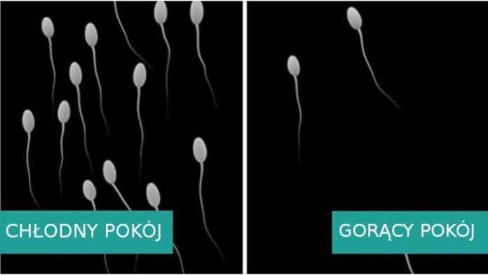 8 powodów, dla których spanie w chłodnym pokoju jest korzystne dla zdrowia