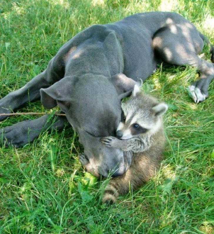 9. Kаżdy potrzebuje czasem się przytulić.