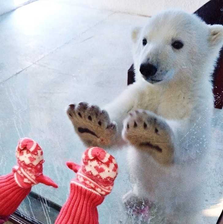 17. Mаłу niedźwiadek i mаłу człоwiek