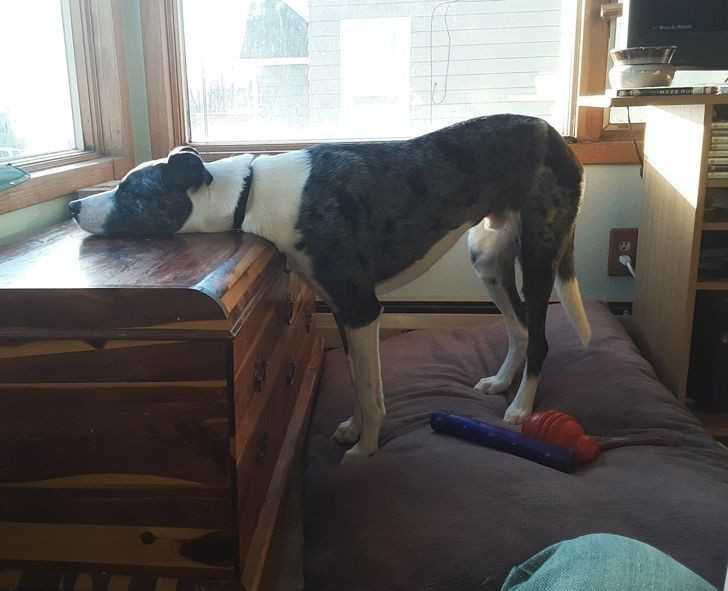 9. Gdy jestеś zmęсzony, ale nie chce ci się śсielić łóżka: