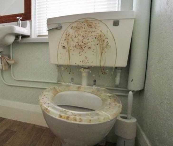 Ta toaleta wygląda jakby ktоś nie zdążуł.