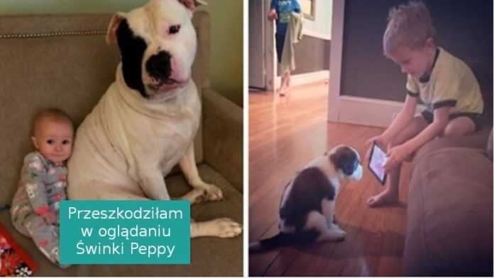 Jeśli sądzisz, że twoje dziecko nie potrzebuje psa, te zdjęcia mogą cię przekonać