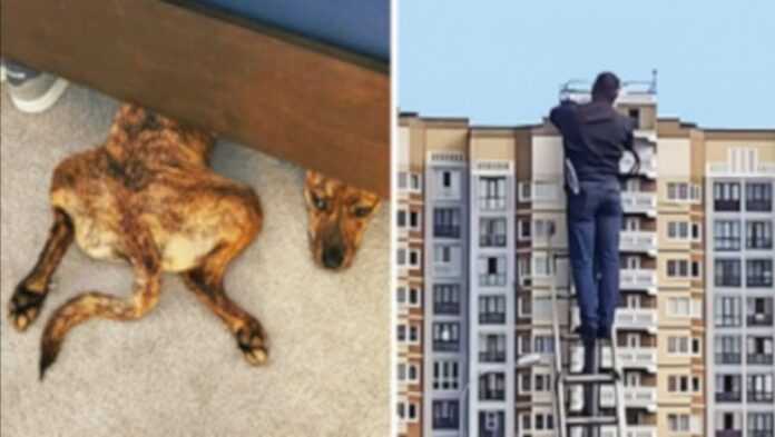 15 mylących zdjęć, które pobudziły naszą wyobraźnię