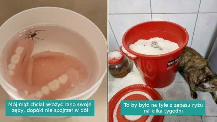 15 zdjęć osób, które rozpaczliwie potrzebują przytulenia po ciężkim dniu