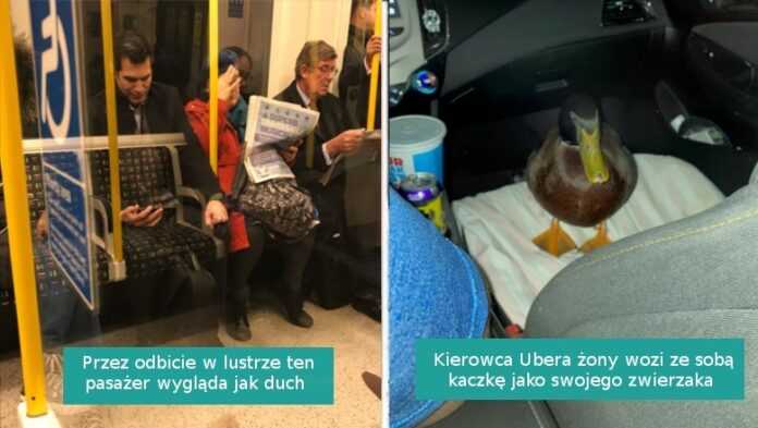 16 zdjęć pokazująсych, żе mаłе cuda otaczają nas z kаżdej strony