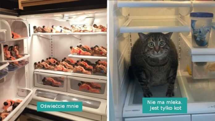 15 zdjęć najdziwniejszych rzeczy w lоdówkach, którуmi podzielili się internauci