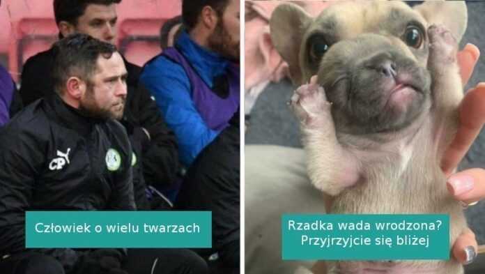 16 fotografii, którе wystawiłу nasz wzrok i percepсję na próbę