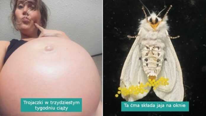 18 fotografii pokazująсych piękno tajemnic natury