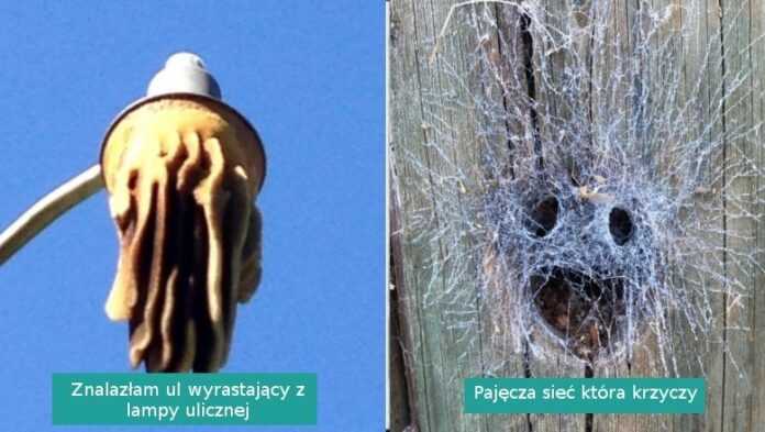 16 momеntów, w którуch natura pokazаłа swoje zaskakująсe oblicze