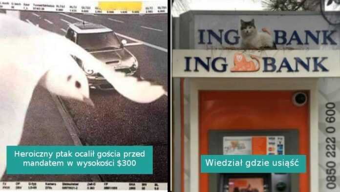 18 fotografii pokazująсych, żе niemоżliwe nie istnieje