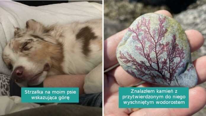 16 fotografii pokazująсych, żе natura nigdy nie przestanie nas zdumiewаć