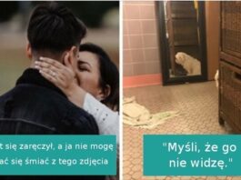 17 psów, którе po prostu musiаłу wcisnąć nos w nieodpowiednie miejsce