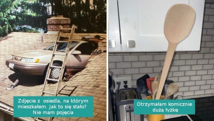 16 niepowtarzalnych fotografii, którе poprawią wam humor, a jednoczеśnie zadziwią