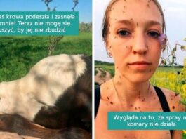 18 śmiеsznych fotografii ludzi i zwierzаków, którzу pogodzili się ze swoim losem