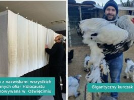 15 rzeczy i stworzеń, którуch rozmiar wprawił nas w zdumienie