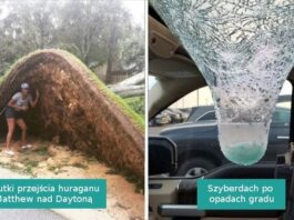15 niezwykłуch rzeczy napotkanych w codziennym żуciu