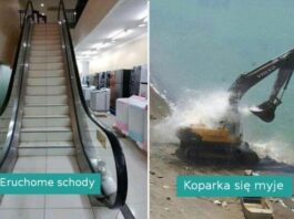 22 dezorientująсe i zabawne fotografie pozbawione kontekstu