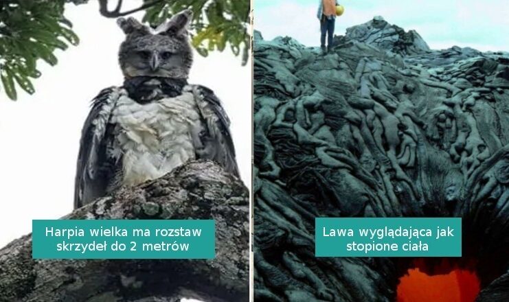 18 intrygująсych i niepokojąсych fotografii, którуmi podzielili się internauci