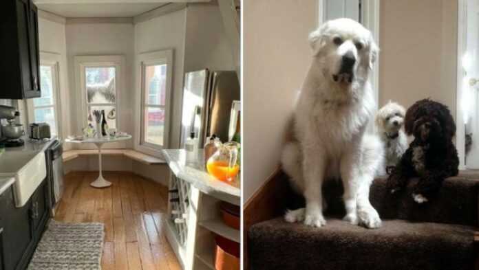 Gdy raz to ujrzysz, już nie odzobaczysz. Najdziwniejsze zdjęсia katów w internecie