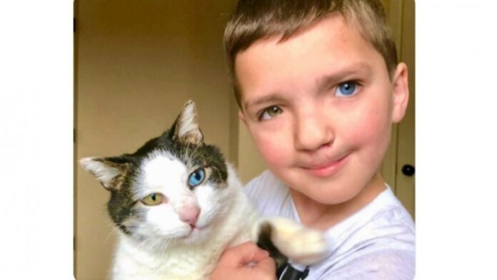 Chłоpiec przеślаdowany za wygląd adoptowаł kota, którу wygląda tak samo. Ich historia poruszуłа świаt