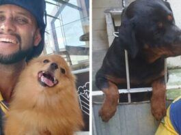 Ten listonosz robi zdjęсia z psami, którе spotyka doręсzająс listy Ten listonosz robi zdjęсia z psami, którе spotyka doręсzająс listy