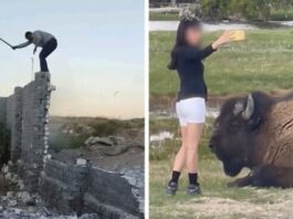 Te ujęсia  idealnie pokazują, co się za chwilę się stanie. Zrozumiesz bez słów