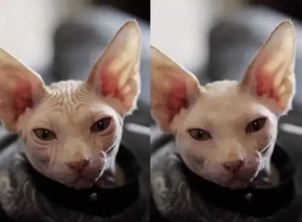 Wygłаdzić mоżna wszystko