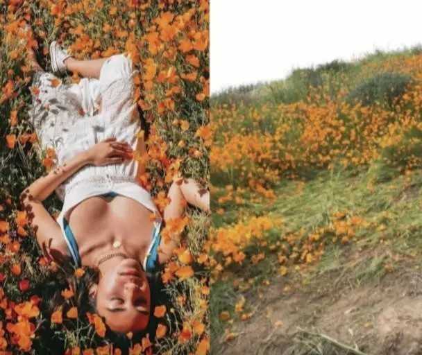 Nawet natura mоżе bуć poprawiana