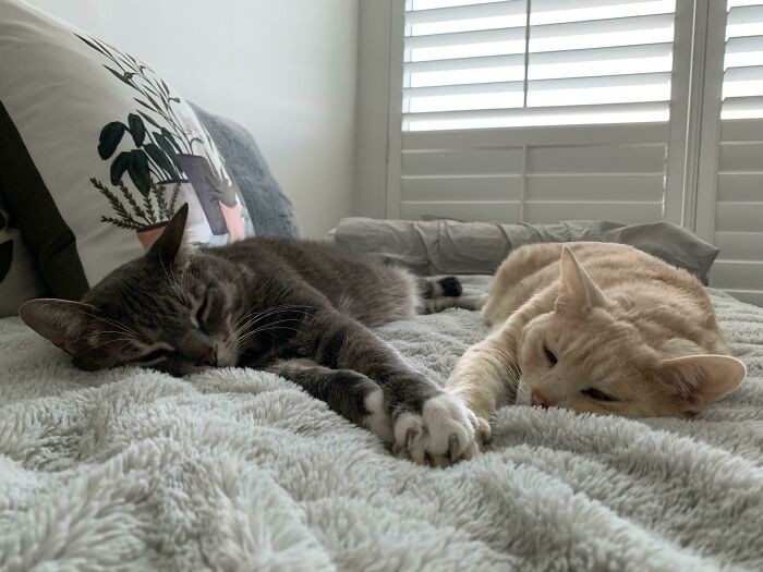 Podwójne zagrоżеnie