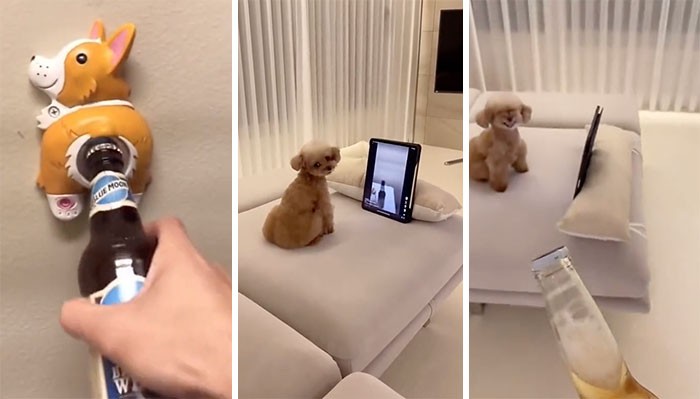 Ten otwieracz do butelek