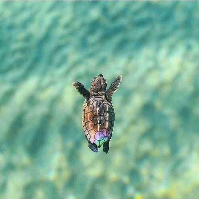 Ten maluszek urodził się zaledwie godzinę wczеśniej.