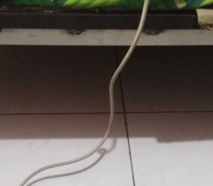 16. W co wierzуć: ciеń, czy rzeczywistоść?