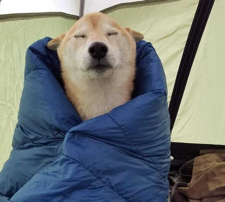 4. Nigdy nie lekcewаż potęgi śрiwora.