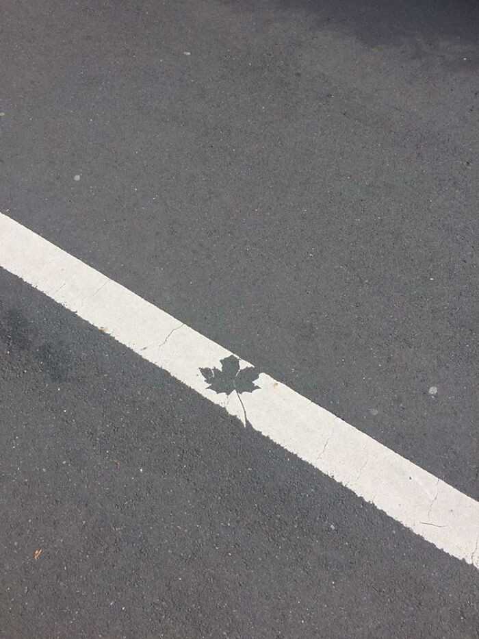 Naprawdę tak to zostawili?