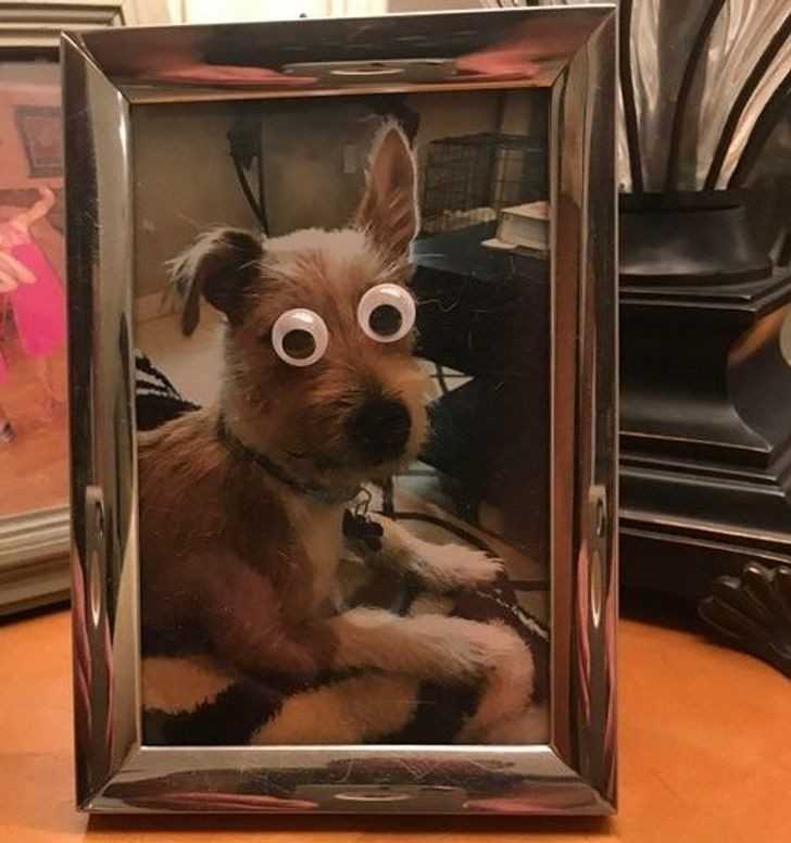 8.
