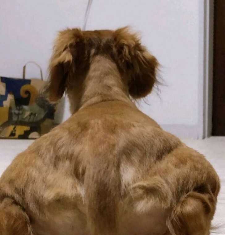 11.